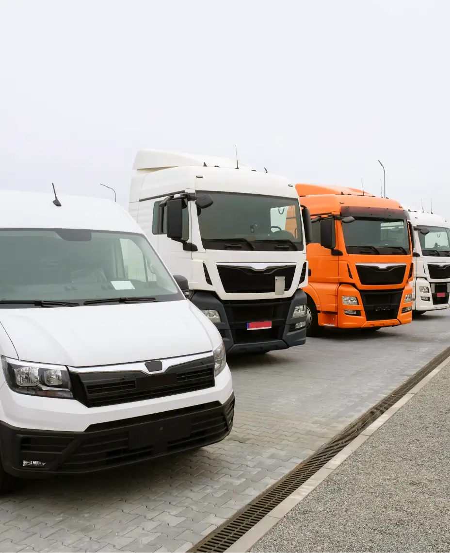 Line of trucks and vans of different models and colors parked in a row.