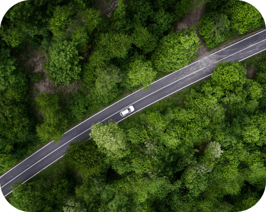 Een witte personenauto die op een tweebaansweg rijdt, aan beide kanten omgeven door bomen.