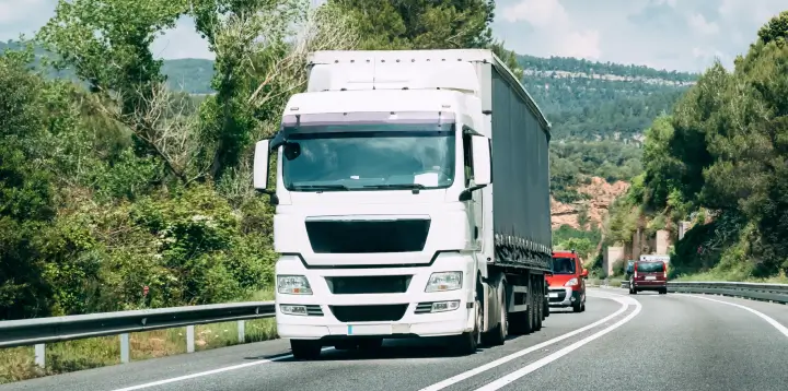 Fleet management in logistics – two long-haul freight trucks driving on a highway through a green landscape.