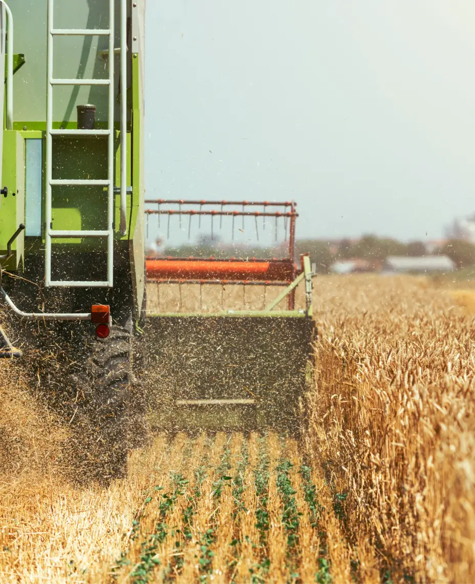 Rear view of agricultural machinery harvesting wheat in a field – part of smart agriculture fleet operations supported by Mapon. 
